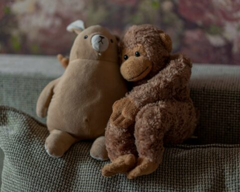 brown bear plush toy on brown textile